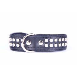 COBBYS PET obojok Zircon 20mm/45cm
