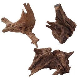 EBI Nature - Wood Mangrove 30-50cm L