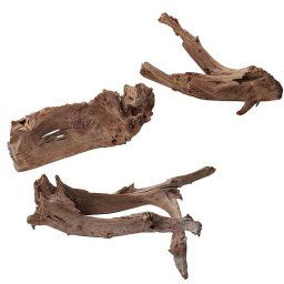 EBI Nature - Wood Mangrove 60-80cm XL