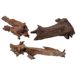 EBI Nature - Wood Jati 15-25cm S