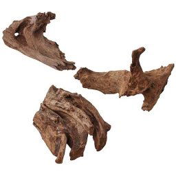 EBI Nature - Wood Jati 25-45cm M