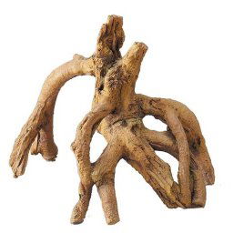 EBI Mangrove 17 x 11,5 x 14cm S