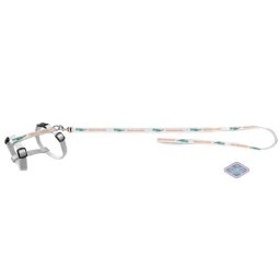 EBI D&D Cat-Walk 30,51cm/100cm L Original Harness white postroj s vodidlom