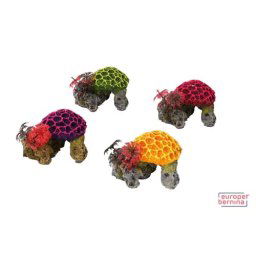 EBI Coral Set Mini 9,5 x 8,5 x 7cm