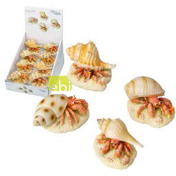 EBI AQUA DELLA Hermit Crab mix 9,3 x 6 x 4,9cm