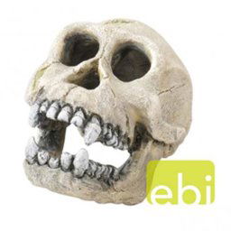 EBI Decor CHIMPANZEE 16cm