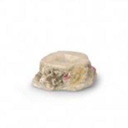 EBI AQUA DELLA CORAL REEF XXS 8,5x7,7x3,5cm, for 1 coral