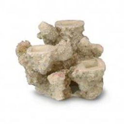 EBI AQUA DELLA CORAL REEF S 15x12x13cm, for 3 corals