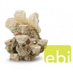 EBI AQUA DELLA CORAL REEF ML 21x18x31cm, for 6 corals
