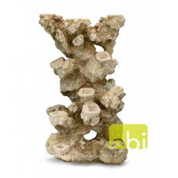 EBI AQUA DELLA CORAL REEF XL 33x24x49cm, for 13 corals