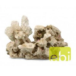 EBI AQUA DELLA CORAL REEF XXL 50x25x34,5cm, for 10 corals