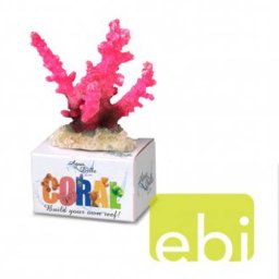 EBI AQUA DELLA CORAL MODULE S staghorn coral rosa 10x8,8x4,8cm
