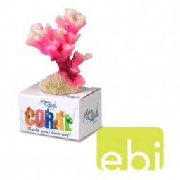 EBI AQUA DELLA CORAL MODULE S cauliflower coral white-pink 10x6,8x5,5cm