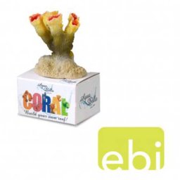 EBI AQUA DELLA CORAL MODULE S torch coral color 8,5x5,8x4cm