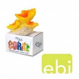 EBI AQUA DELLA CORAL MODULE S encrusting fungi coral 8,5x6,5x4,7cm