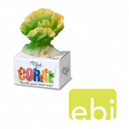 EBI AQUA DELLA CORAL MODULE S cabbage cora 8,9x6,4x5cm