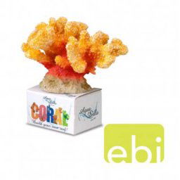 EBI AQUA DELLA CORAL MODULE M cauliflower coral orange-yellow 12x10,2x8cm