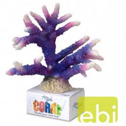 EBI AQUA DELLA CORAL MODULE L staghorn coral purple/ca.17x16,7x13cm