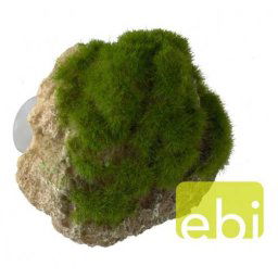 EBI AQUA DELLA MOSS STONE -S- ca.12x9,5x10,5cm with suction cup