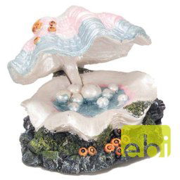 EBI AQUA DELLA SHELL -S- 12,5x11,5xH8cm/BUBBLE ACTION