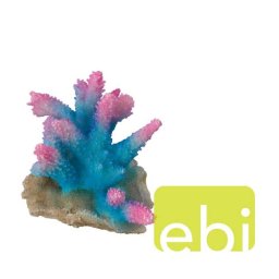 EBI AQUA DELLA CORAL ACROPORA BLUE ca. 12,5x11,5x10,5cm