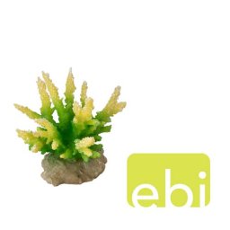 EBI AQUA DELLA CORAL HYDNOPORA LIME ca. 9,5x8,5x10,5cm