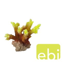 EBI AQUA DELLA CORAL ACROPORA YELLOW ca. 10x9x10cm
