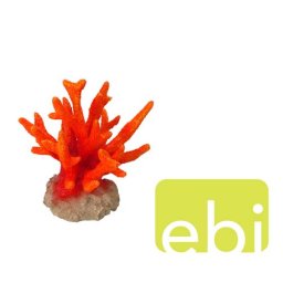EBI AQUA DELLA CORAL SERIATOPORA ORANGE ca. 8,5x8,5x9cm