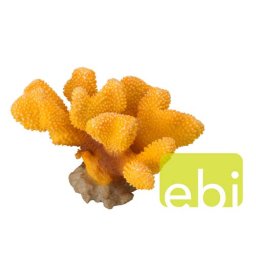 EBI AQUA DELLA CORAL PAVONA CACTUS YELLOW ca. 17,5x11,5x10,5cm
