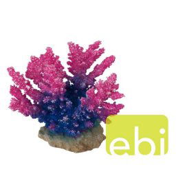 EBI AQUA DELLA CORAL ACROPORA PURPLE ca. 15x7x13cm