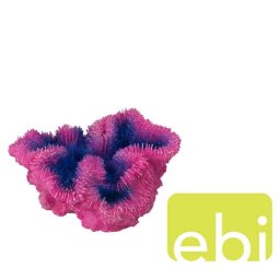 EBI AQUA DELLA CORAL SYMPHYLIA PURPLE ca. 12x5x12cm