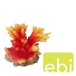 EBI AQUA DELLA CORAL ACROPORA ORANGE ca. 11,5x8,5x9,5cm