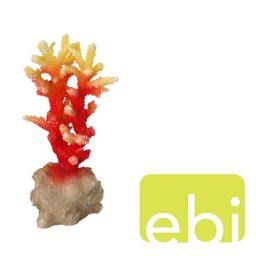 EBI AQUA DELLA CORAL ACROPORA ORANGE ca. 7x6x14,5cm