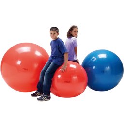 Fitlopta Physio Gymnic 95 cm modrá