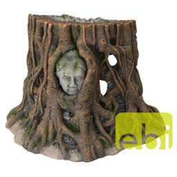 EBI AQUA DELLA THAILAND -XL- ca. 48x26,5x32cm