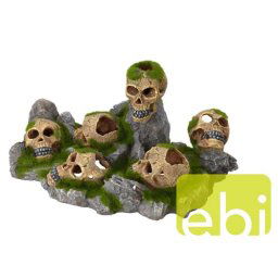 EBI AQUA DELLA SKULLS WORLD SMALL ca. 42,5x27,5x21cm
