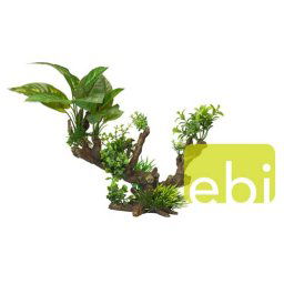 EBI AQUA DELLA FLORA-SCAPE 5 XL ca. 33,5x16x27,5cm