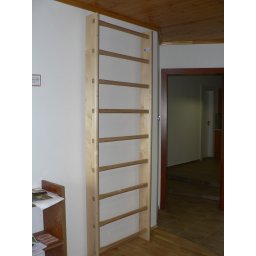 Rebriny izbové DORSPORT 230x80 cm, 9 priečok, multiplex + kotvenie (Izbové rebriny so zvýšenou pevnosťou. Určené pre domáce použitie, alebo menšie posilňovne, telocvične a pre škôlky.)