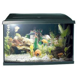PACIFIC-50 akvárium 37,5l s výbavou 50x25x30cm 1x15W Eco