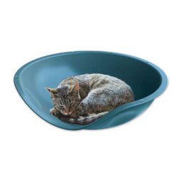 COBBYS PET Beddy Plain 57x48x16cm plastové ležadlo