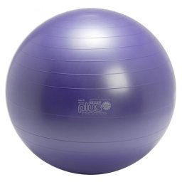 Fitlopta Gymnic Plus 65cm fialová