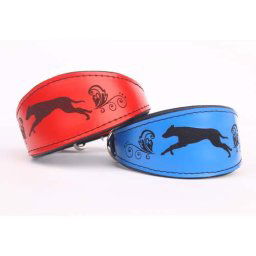 COBBYS PET Gravírovaný obojok Chrt 30cm