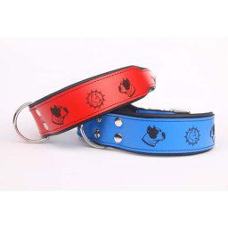 COBBYS PET Gravírovaný obojok Stafford Terrier /Americký stafford 50mm/60cm