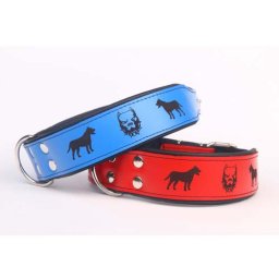 COBBYS PET Gravírovaný obojok Pitbull 40mm/50cm