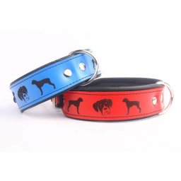COBBYS PET Gravírovaný obojok Boxer 40mm/65cm