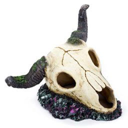 PENN PLAX Lebka barana 18,4x15x14cm