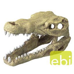 EBI AQUA DELLA CROCODILE HEAD -M- ca.19,5x9,5x10,5cm