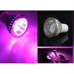 LED žiarovka - osvetlenie pre rastliny 7W