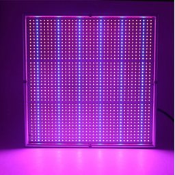 LED lampa pre kvitnutie rastlín s výkonom 120W
