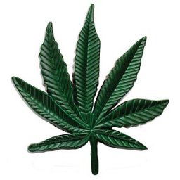 Marihuana - Pracka